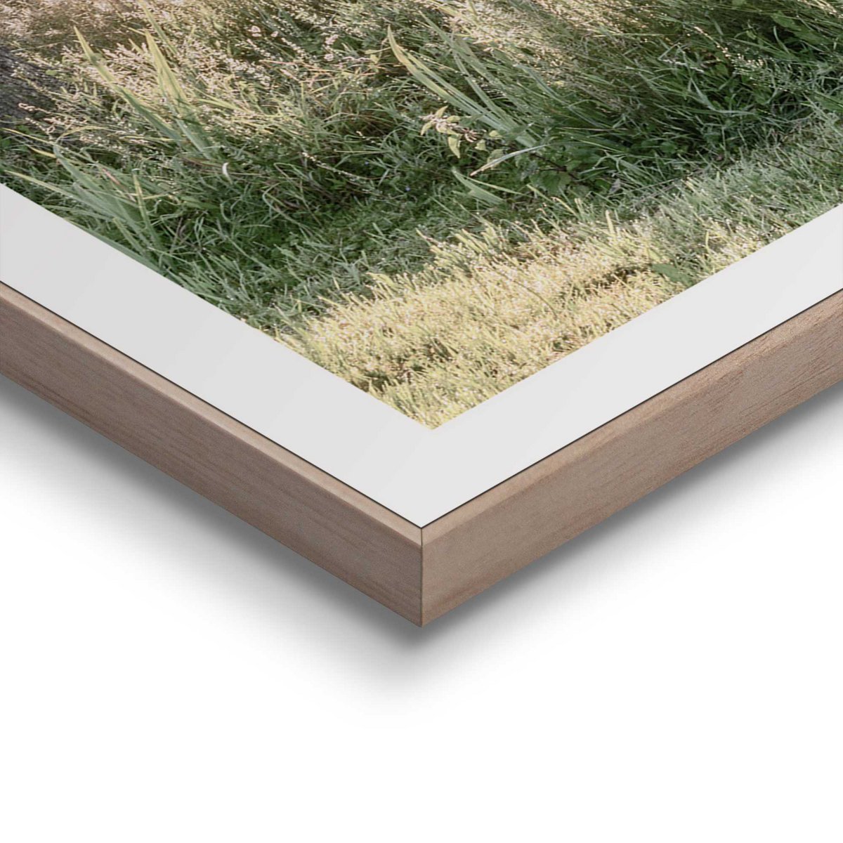 Gerahmtes Bild Slim Frame Rise and Shine 50x50