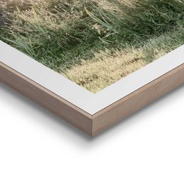 Gerahmtes Bild Slim Frame Rise and Shine 50x50