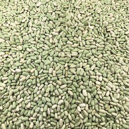Flageolet Bio en Vrac
