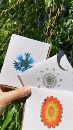 Mini tarjeta de felicitación caléndula