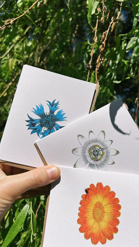 Mini tarjeta de felicitación caléndula