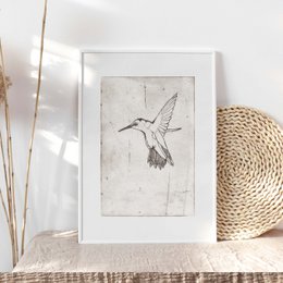 Art Print "Hummingbird" | different sizes
