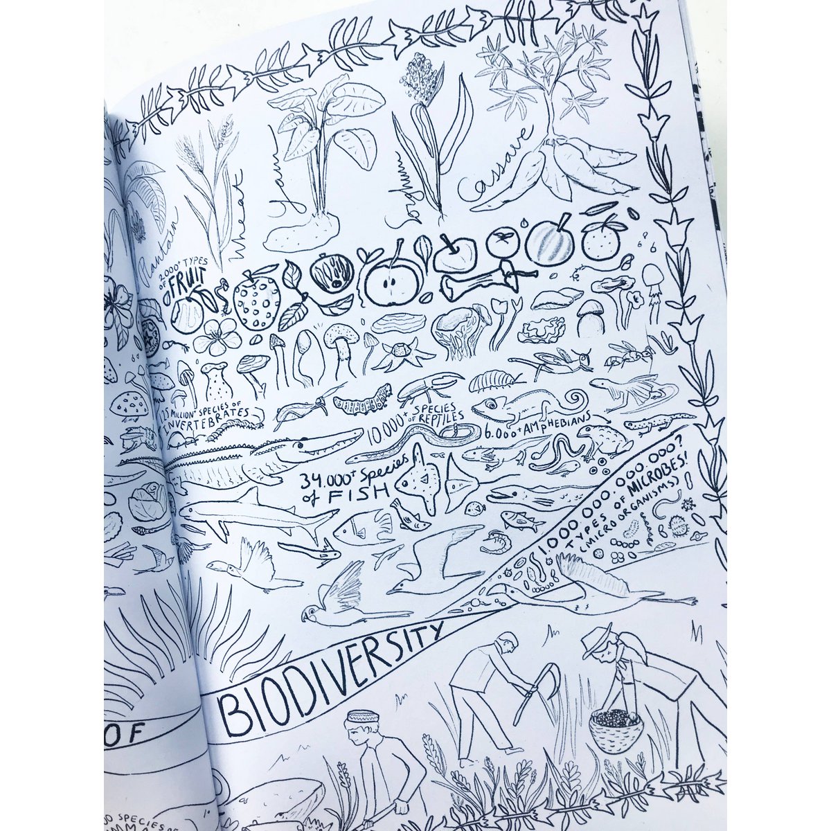 Organic Agriculture Coloring Book