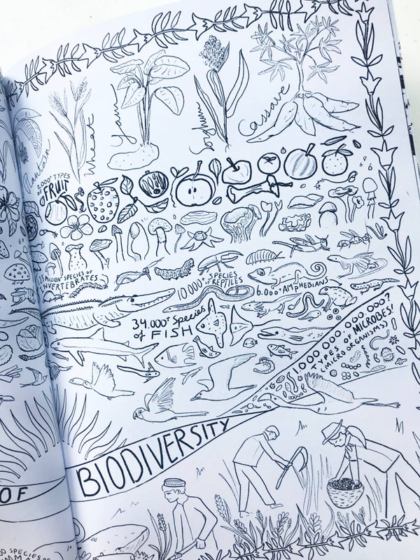 Organic Agriculture Coloring Book