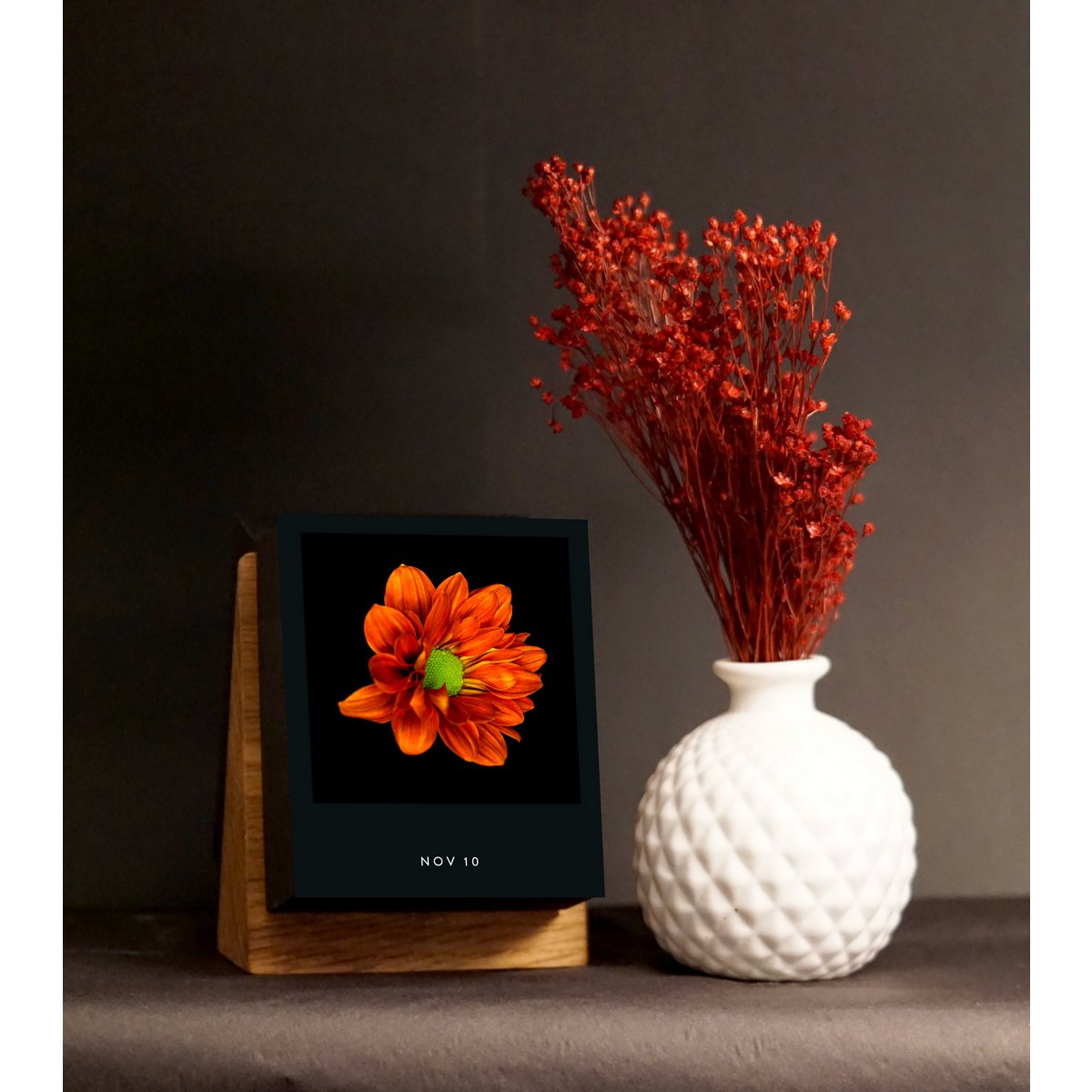Flamboyant Flowers