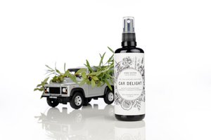 CAR DELIGHT Invigorating car fragrance & interior cleaner 100 ml