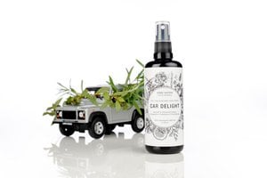 CAR DELIGHT Invigorating car fragrance & interior cleaner 100 ml