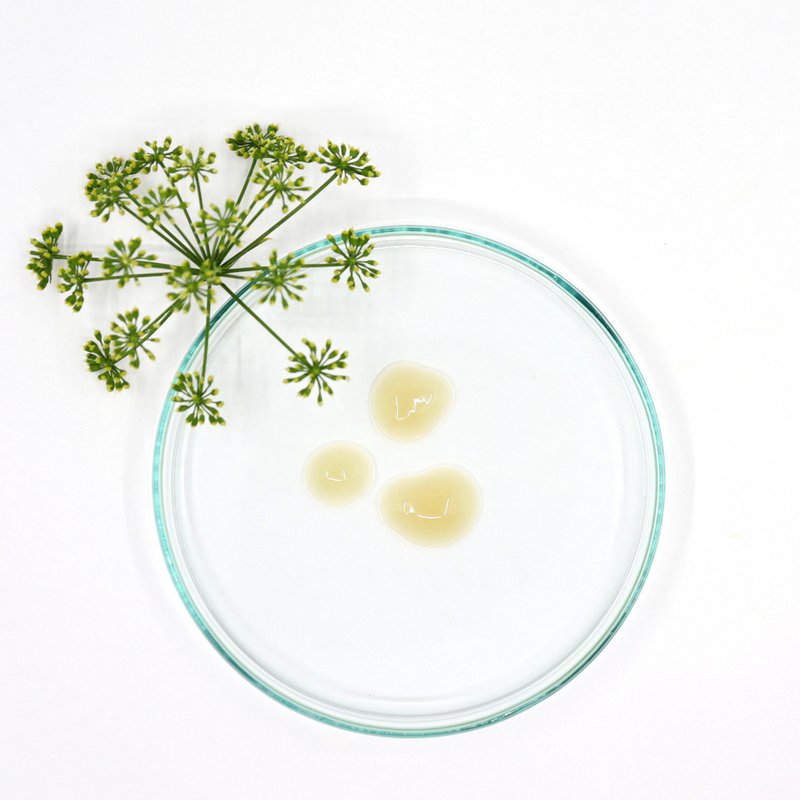 BIO-FEUCHTIGKEITSSERUM 30ML