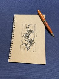 Lily Notatnik/Dziennik