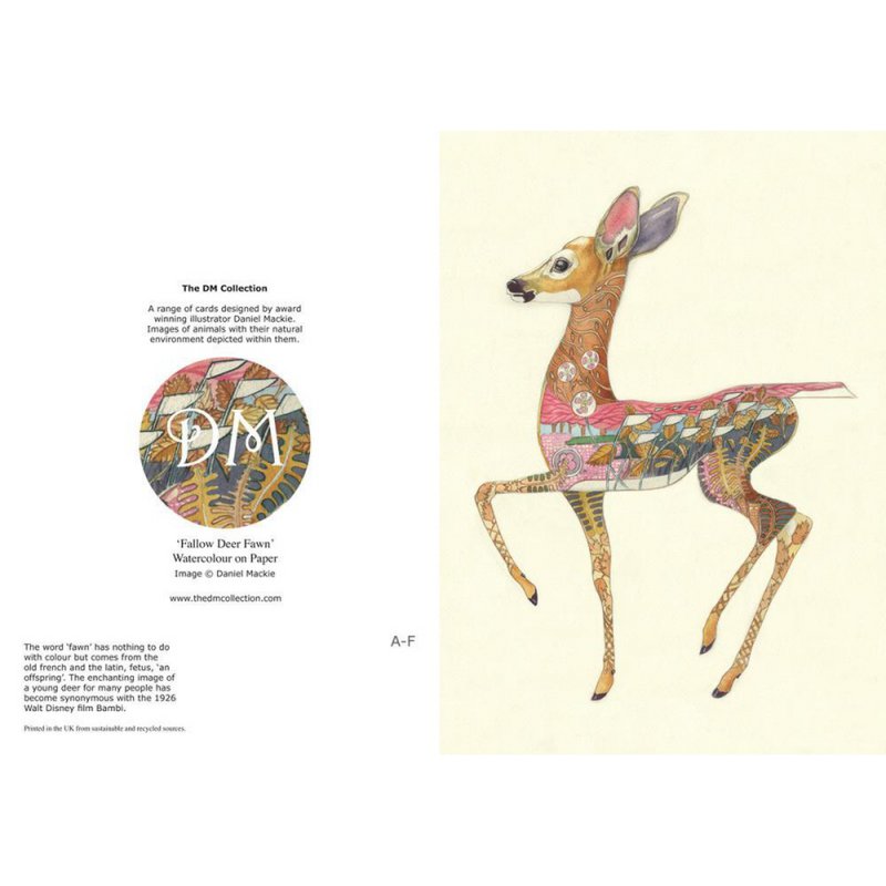 E019 - fawn