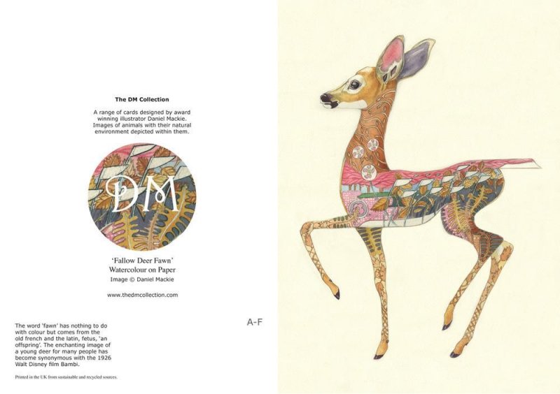 E019 - fawn