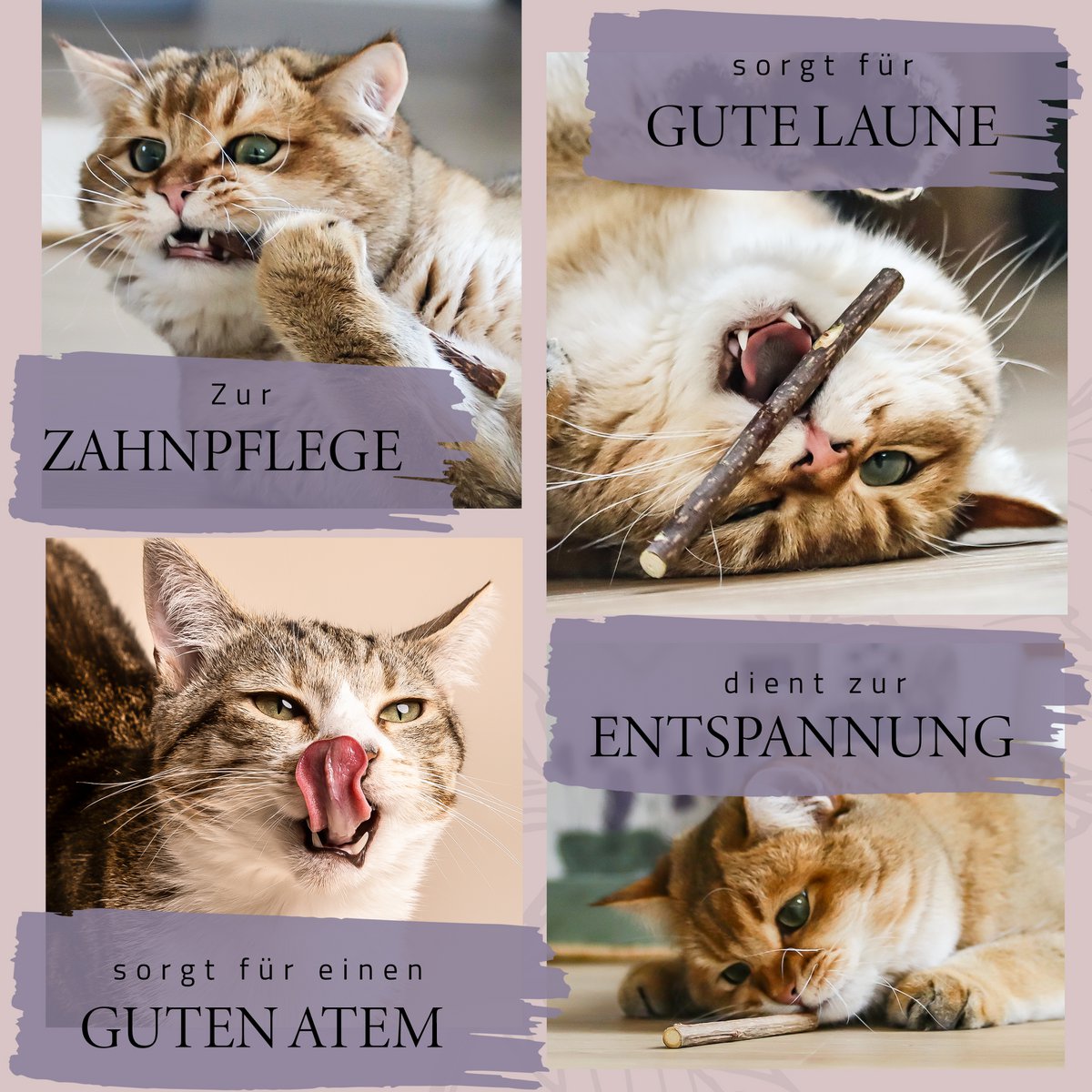 ne&no® Geschenkset Katzen Wohlfühlkräuter: Katzenminze + Baldrian Spray +  Matatabi Sticks