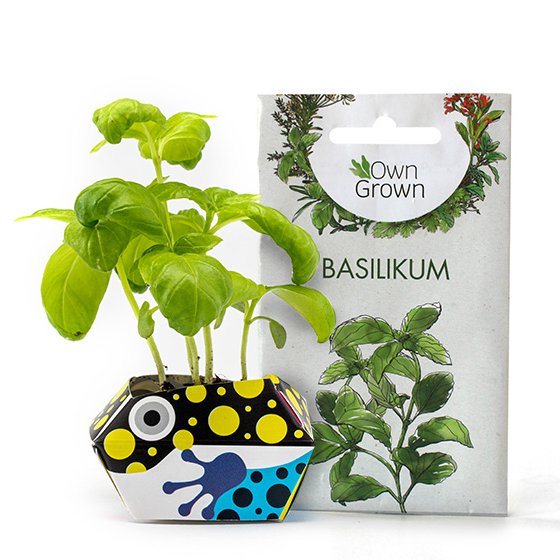 1 OriBon+ - Colección de animales de la selva tropical