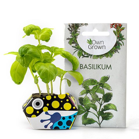 1 OriBon+ - Rainforest animals collection