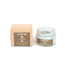 A pack of 6 organic mint and basil scented candles in a round glass container with a white lid.