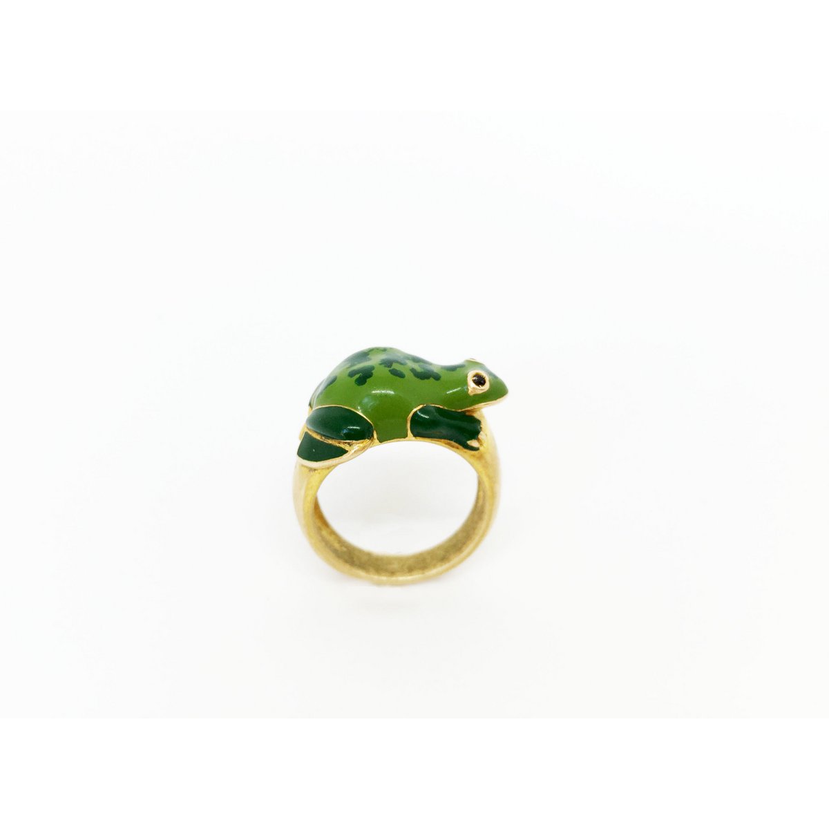 Grenouille Betta