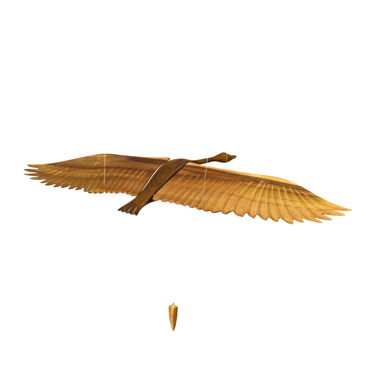 Cygne