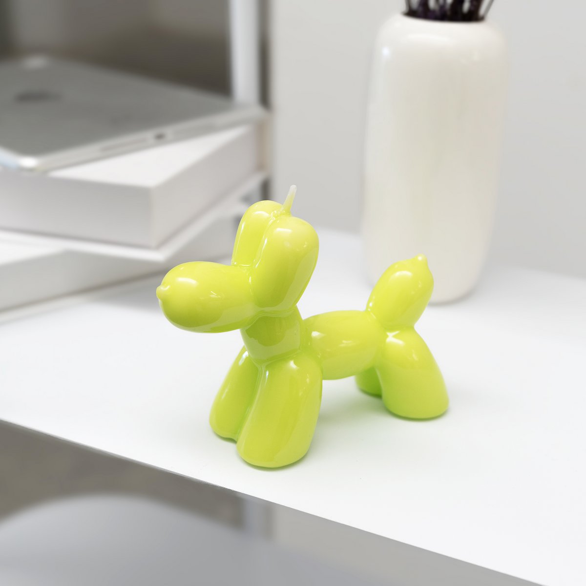 LIME BALLON HOND KAARS HF
