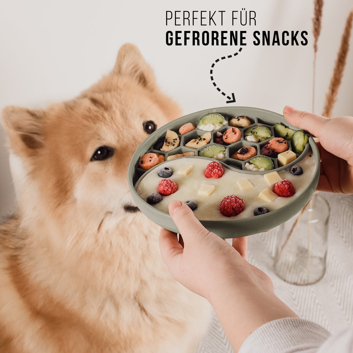 ne&no® anti-slyngeskål til hunde og katte