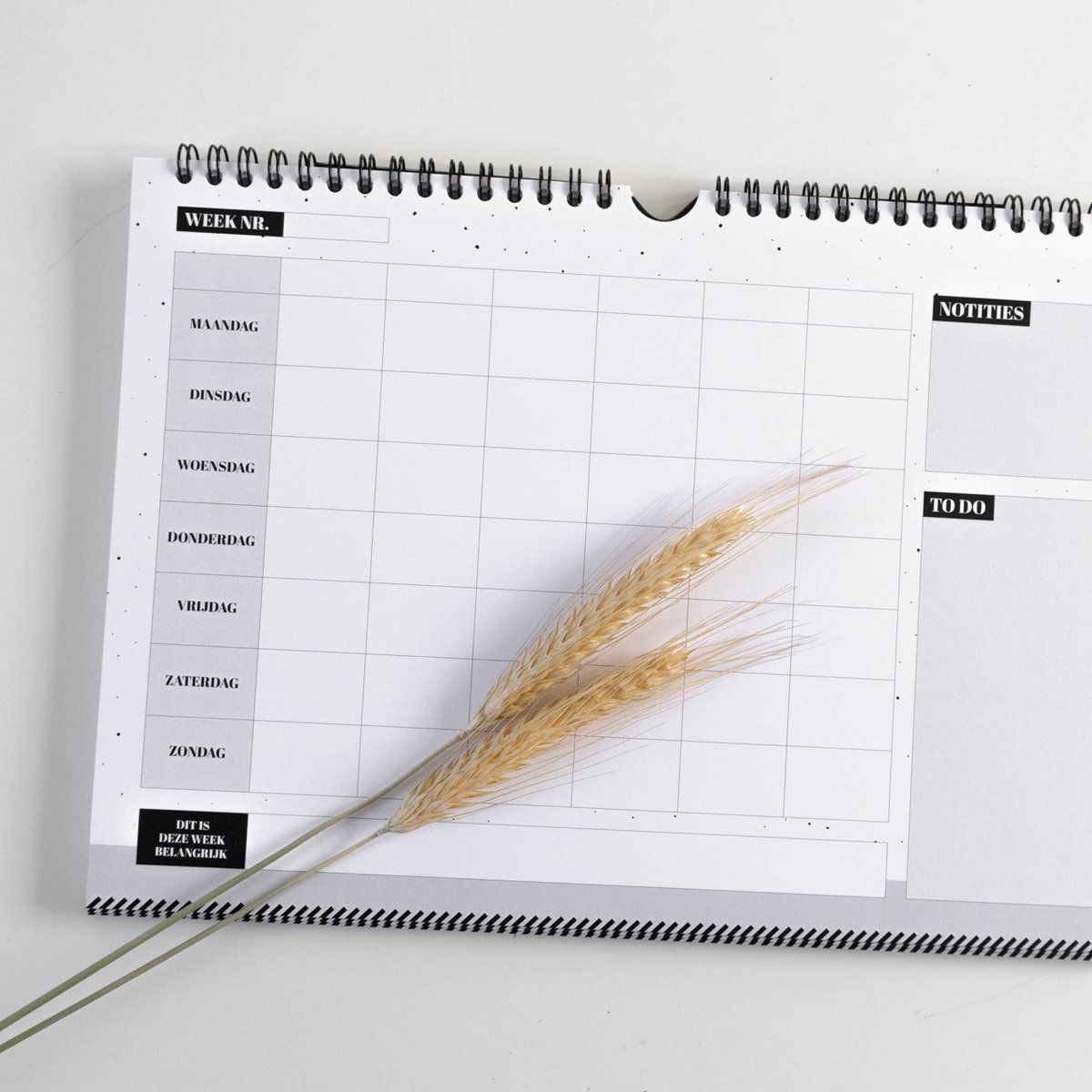 Family planner
