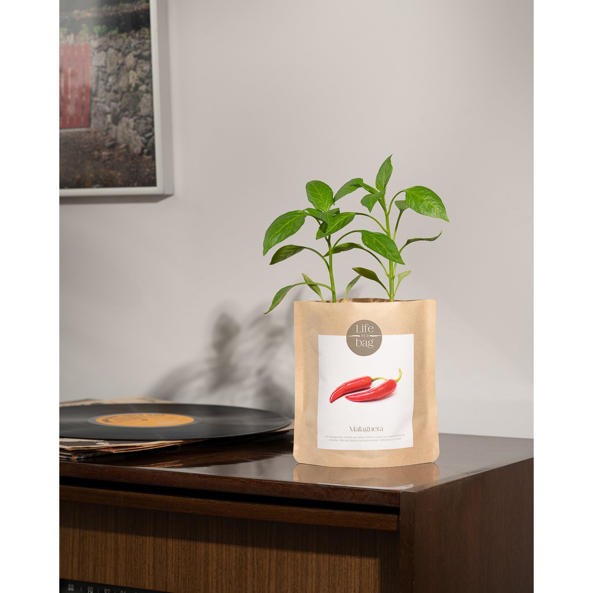 Grow Bag Chili pepper
