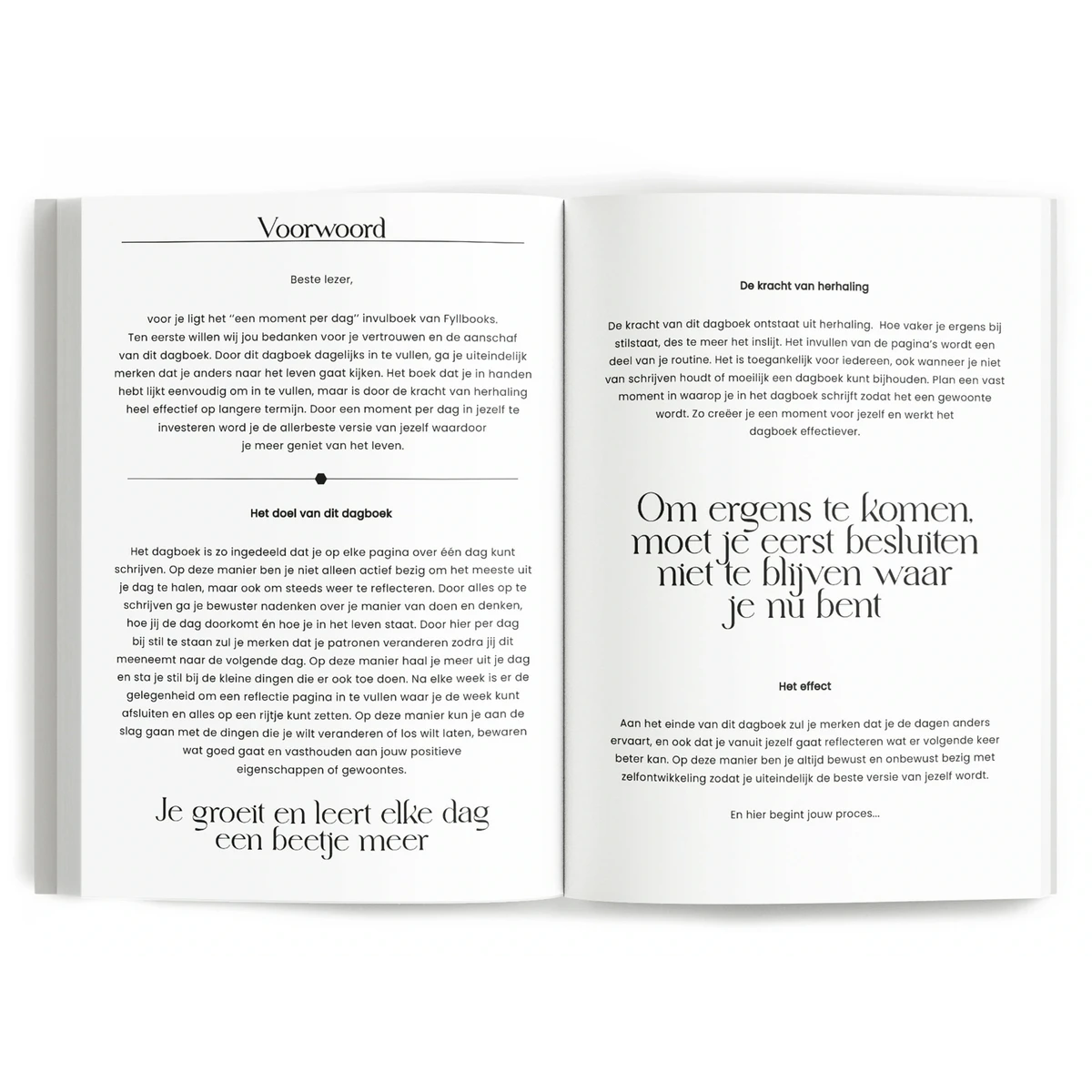 Fyllbooks chwila dziennie dziennik - Olive Green