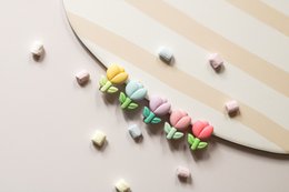 Aligator | Tulipan – pastelowy