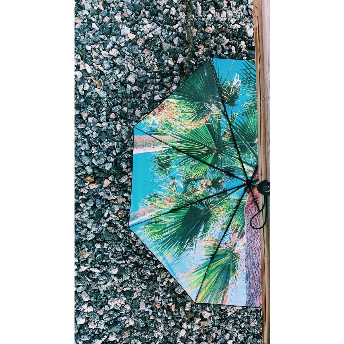 Paradise Umbrella – Windproof & UPF50+ Protection