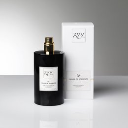IV - FIGUIER DE SORRENTE