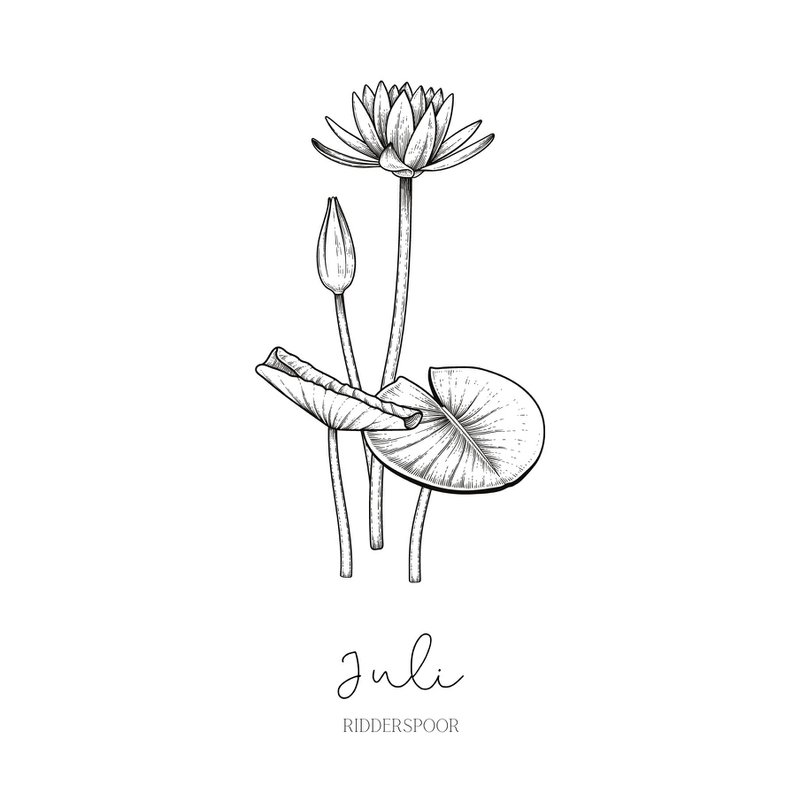 Geburts-Blumenfliese | Januar