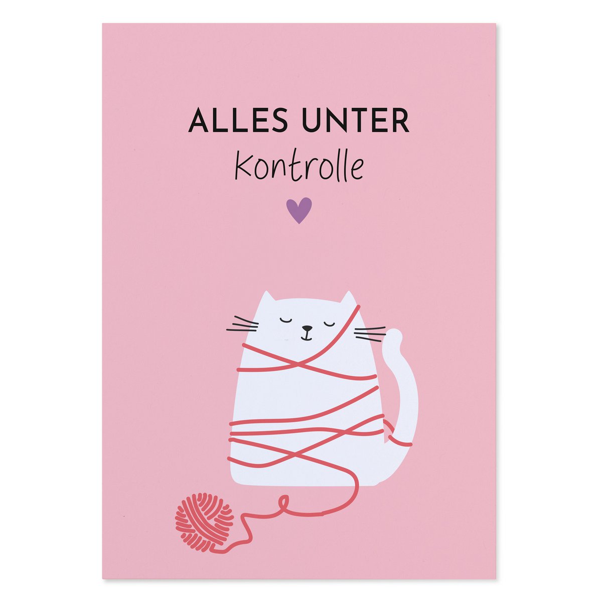 Grappige ansichtkaart met de spreuk “Alles is onder controle”