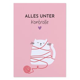 Lustige Postkarte mit Spruch „Alles unter Kontrolle“