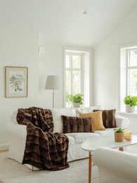 Skinnwille Home