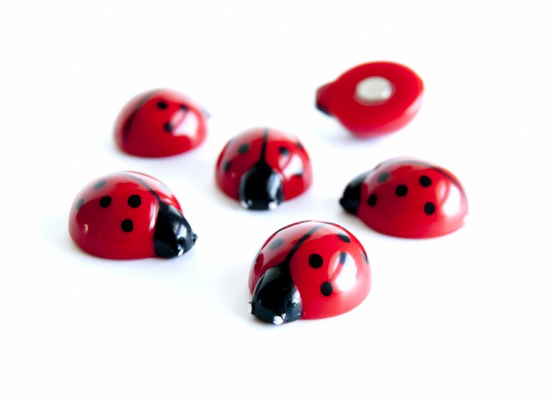 Trendform Magneten Ladybug - Set of 6