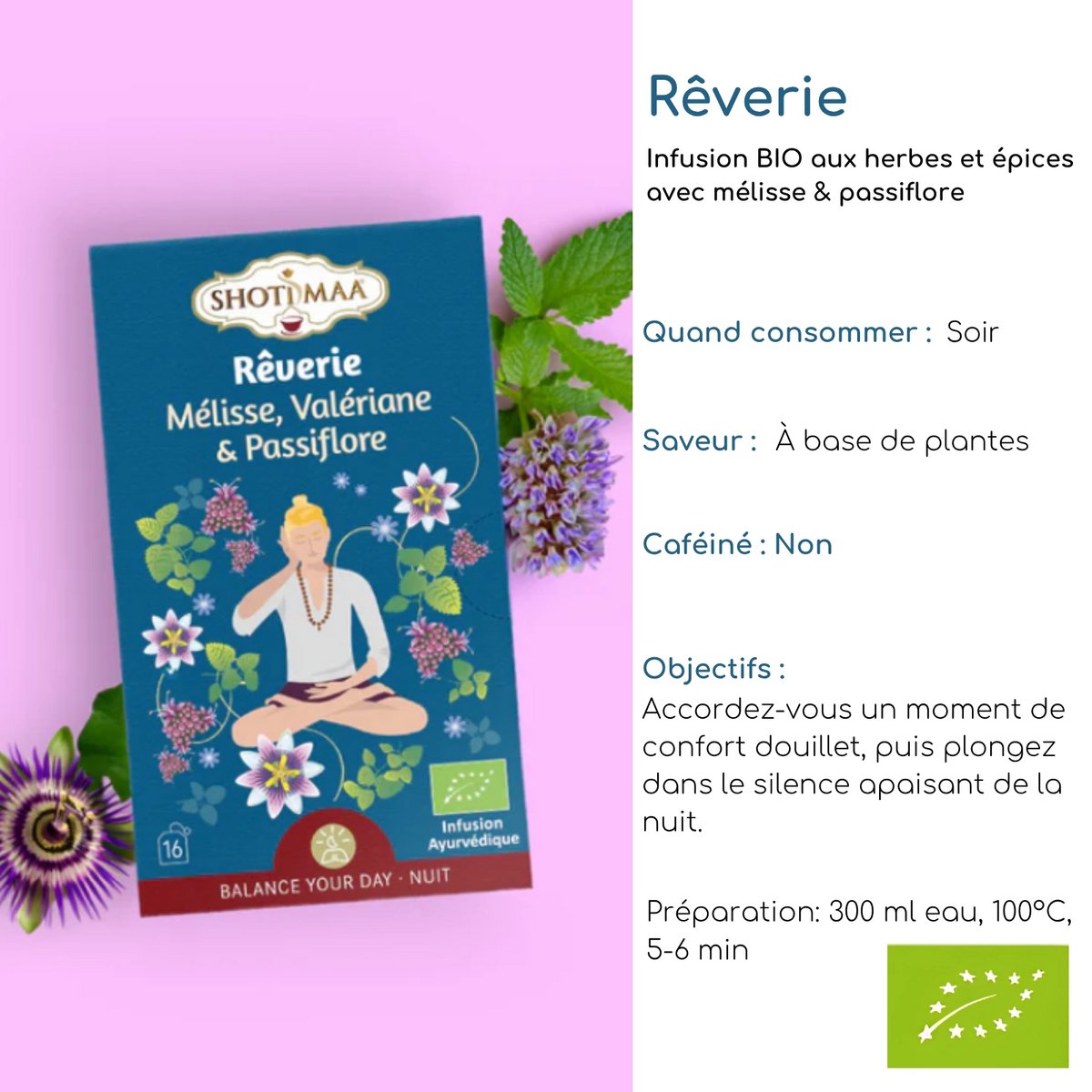 Bio-Kräutertee für die süße Nacht – natürliche entspannende und beruhigende Aufgüsse – koffeinfreier Bio-Kräutertee