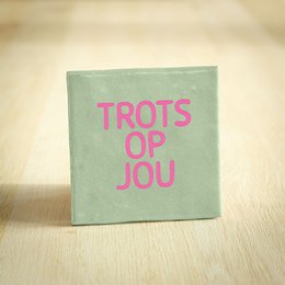 Tegeltje - Trots op jou | Lichtgroen & Roze | 10x10cm