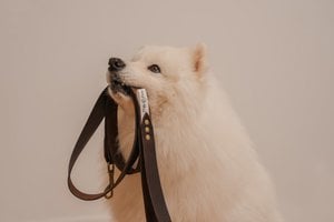 Soft leather leash from the Fluffy Puppy brand, length 175 cm, width 3 cm, hand made!
