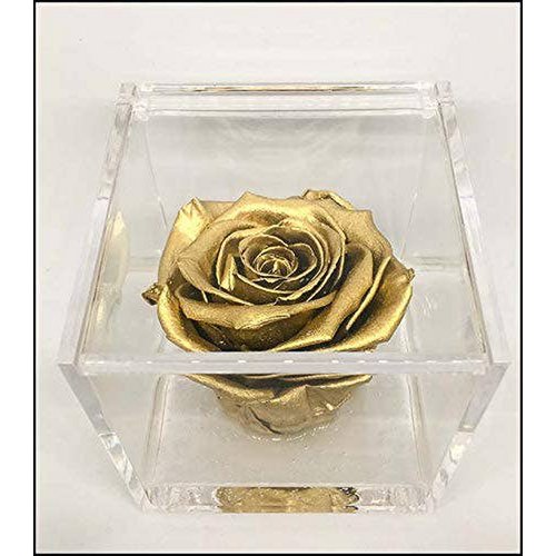 Cube Rose Eternal Stabilisiertes Gold 8cm Handwerklich hergestellt in ITALIEN