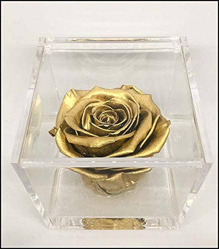 Cube Rose Eternal Stabilisiertes Gold 8cm Handwerklich hergestellt in ITALIEN