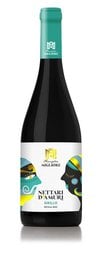 A still white wine from Sicily, Italy, made from the Grillo grape variety. The wine has a bright, green-tinged color and likely offers fresh, citrus-driven flavors.