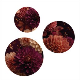 burgundy 1