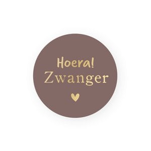 Stickers Zwanger | Goudfolie