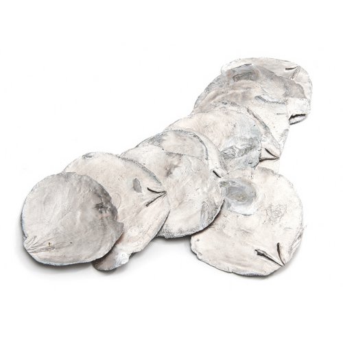 "Camar" parelmoer schijven, 500 g, ∅5-10 cm, champagne