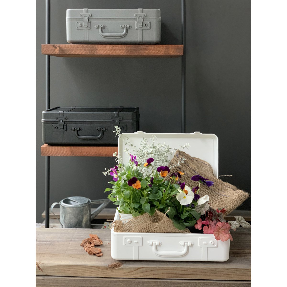 Hachiman Trunk Story Story Storage Case S
