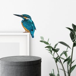 A vibrant, colorful wall sticker featuring a detailed illustration of a kingfisher bird. The sticker showcases the bird's striking blue and orange plumage, with a sharp beak and alert expression.