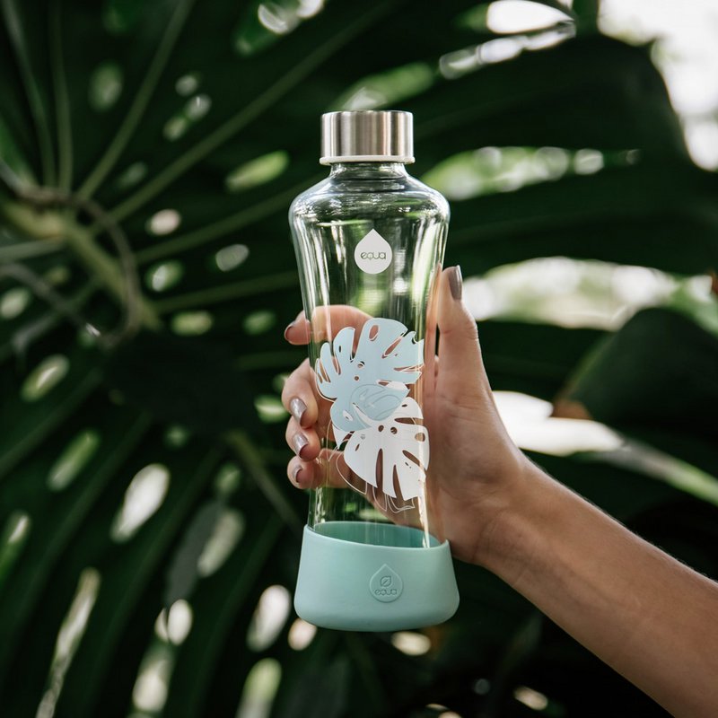 EQUA glass bottle Monstera