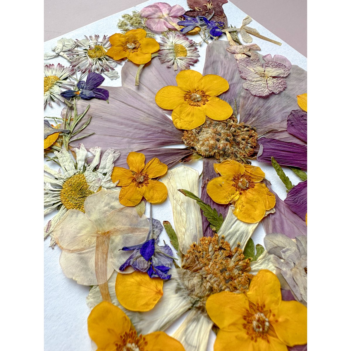 Geperste Bloemen Set 35-40 stuks Gedroogde Bloemen Voor Ambacht