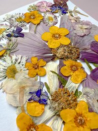 Geperste Bloemen Set 35-40 stuks Gedroogde Bloemen Voor Ambacht
