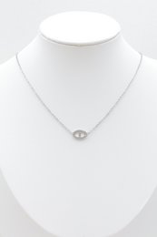 Roestvrij stalen ketting