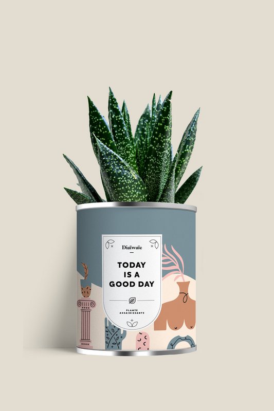 VANDAAG IS EEN GOEDE DAG - Groot model